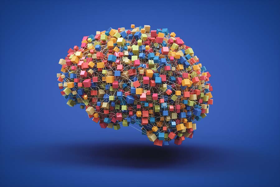 How artificial neural networks build their own learning machinery | MIT News How artificial neural networks build their own learning machinery | MIT News
